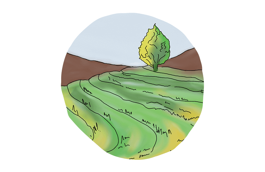 Illustration of a farm